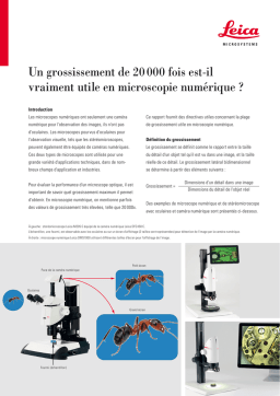 Leica Microsystems DMS300 Digital Microscopes Manuel utilisateur