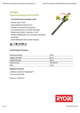 Ryobi 5133001247 Fiche technique