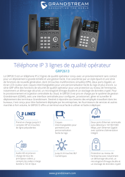 Grandstream GRP2613 Fiche technique