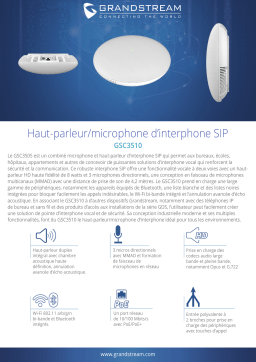 Grandstream GSC3510 Fiche technique