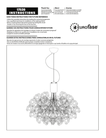 Eurofase 17536-011 Guide d'installation | Fixfr