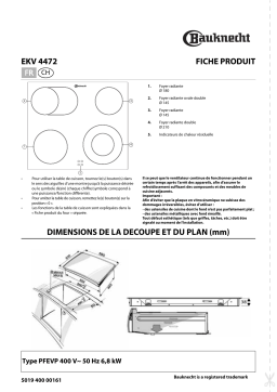 Whirlpool EKV 4472 IN Manuel utilisateur