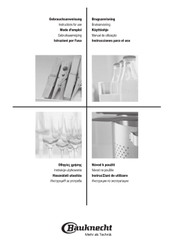 Bauknecht CTAI 1641F NE Manuel utilisateur