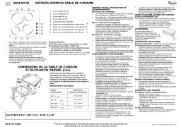 Whirlpool AKM 907/NE/02 Manuel utilisateur