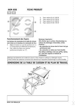 Whirlpool AKM 608/NE Manuel utilisateur