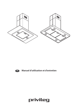 Whirlpool DGIFG 94 LM X Manuel utilisateur