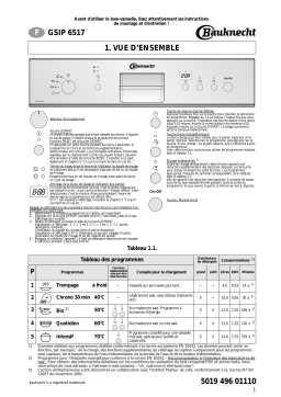 Whirlpool GSIP 6517/2 IN Manuel utilisateur