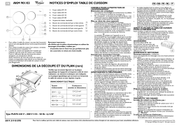 Whirlpool AKM 901/NE/03 Manuel utilisateur