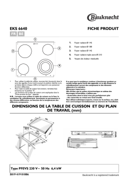 Whirlpool EKS 6640 IN Manuel utilisateur