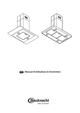Bauknecht DBIBS 93 LB X Manuel utilisateur