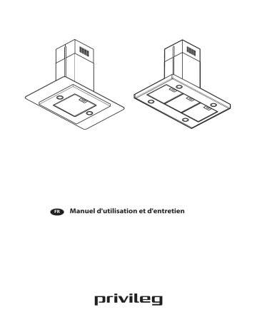 DGIBS 93 LB X | Mode d'emploi | Whirlpool DGIFG 94 AM X Manuel utilisateur | Fixfr