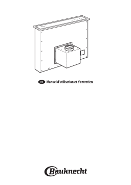 Whirlpool DBDO 93 LT X Manuel utilisateur