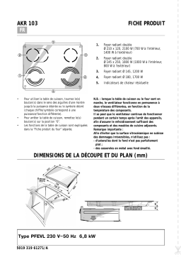 Whirlpool AKR 103/IX Manuel utilisateur