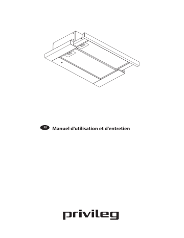 Mode d'emploi | Whirlpool DGAH 55 AM X Manuel utilisateur | Fixfr