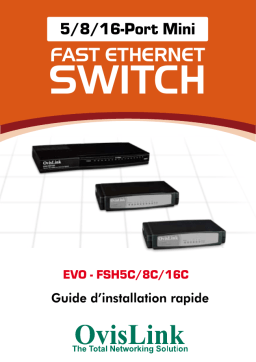 OvisLink EVO-FSH5C Manuel utilisateur