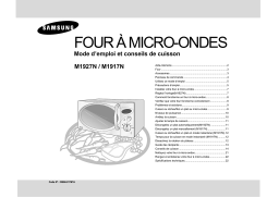 Samsung M1917N-X Manuel utilisateur