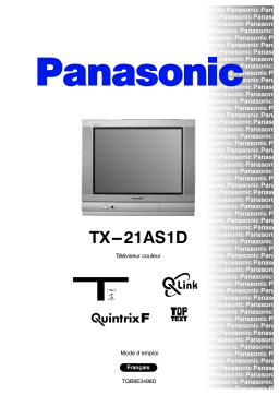 Panasonic TX21AS1D Operating instrustions