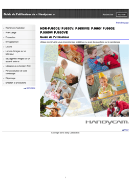 Sony HDR-PJ650V Operating instrustions