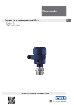 WIKA CPT-20 CPT-21 Operating instrustions