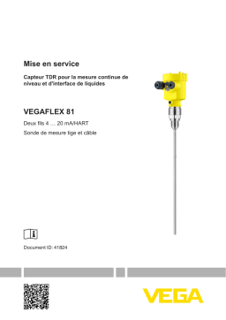 Vega VEGAFLEX 81 TDR sensor for continuous level and interface measurement of liquids Operating instrustions