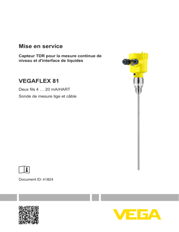 Mode d'emploi | Vega VEGAFLEX 81 TDR sensor for continuous level and interface measurement of liquids Operating instrustions | Fixfr