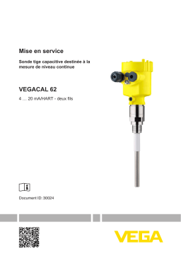 Vega VEGACAL 62 Capacitive rod probe for continuous level measurement Operating instrustions