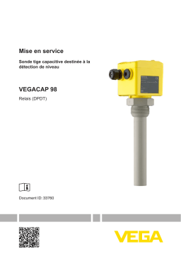 Vega VEGACAP 98 Adjustment-free, capacitive rod probe for level detection Operating instrustions