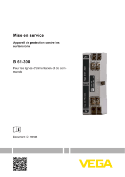 Vega Overvoltage protection B 61-300 Overvoltage arrester for supply and control cables Operating instrustions