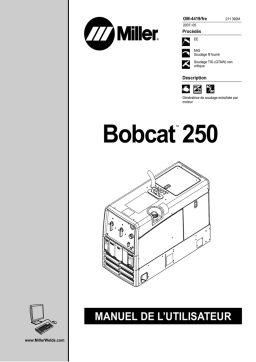 Miller BOBCAT 250 (ROBIN) Manuel utilisateur