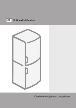 Gorenje RK60319OR-L Réfrigérateur combiné pose libre Manuel utilisateur