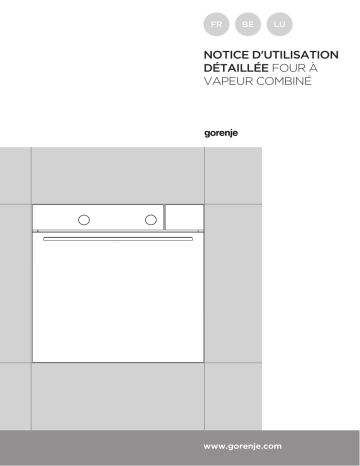 Manuel du propriétaire | Gorenje BCS747S34X Four vapeur combiné Manuel utilisateur | Fixfr