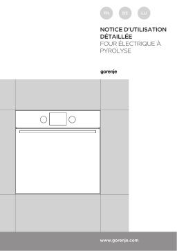 Gorenje BOP737E20XG Four encastrable pyrolyse Manuel utilisateur