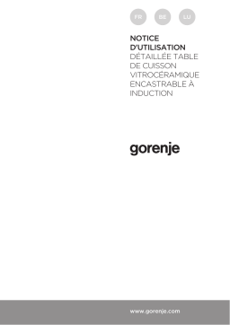 Gorenje IS630BSC Table de cuisson à induction Manuel utilisateur