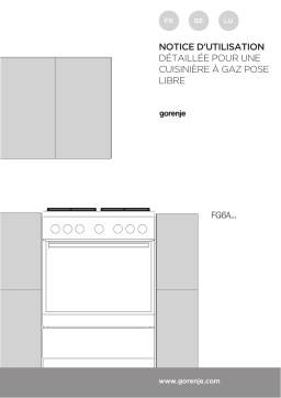 Gorenje GI6130WC Cuisinière à gaz Manuel utilisateur