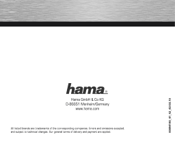 Hama 00094140 "Rotate Mini" High Speed FlashPen, USB 2.0, 2 GB, 100X Manuel utilisateur