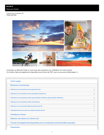Sony FDR-AX700 Manuel du propriétaire | Fixfr