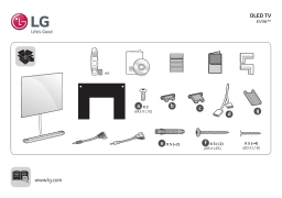 LG 65EV960H Manuel du propriétaire