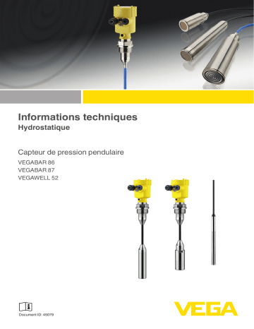 VEGABAR 87 | VEGABAR 86 | Vega VEGAWELL 52 Submersible pressure transmitter with ceramic measuring cell Information produit | Fixfr