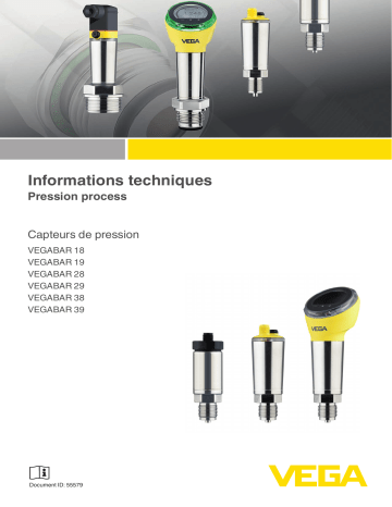 VEGABAR 19 | VEGABAR 38 | VEGABAR 39 | VEGABAR 28 | VEGABAR 29 | Vega VEGABAR 18 Pressure transmitter Information produit | Fixfr