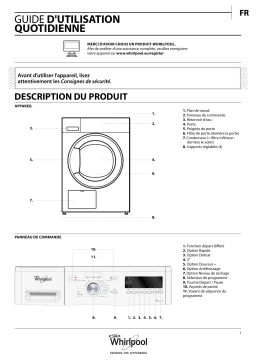 Whirlpool DDLX 80111 Manuel utilisateur
