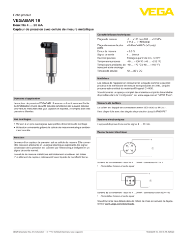 Spécification | Vega VEGABAR 19 Pressure transmitter Manuel utilisateur | Fixfr