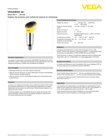 Spécification | Vega VEGABAR 38 Pressure sensor with switching function Manuel utilisateur | Fixfr