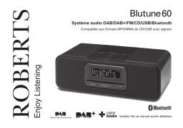 Roberts BLUTUNE 60( Rev.1) Bluetooth Radio Mode d'emploi