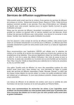 Roberts Radio Stream 67 : Chat IA et Téléchargement PDF