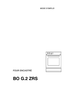 Therma BO G.2 ZRS CN Manuel utilisateur