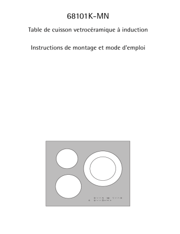 AEG 68101K-MN99C Manuel utilisateur | Fixfr