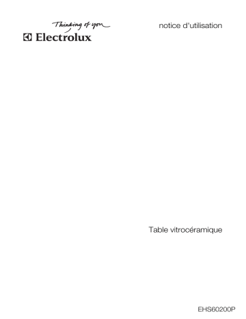 Electrolux EHS60200P Manuel utilisateur | Fixfr