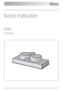 Faure FGH5134X Manuel utilisateur