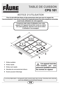 Faure CPG101W Manuel utilisateur