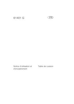 Aeg-Electrolux 61401G-M Manuel utilisateur